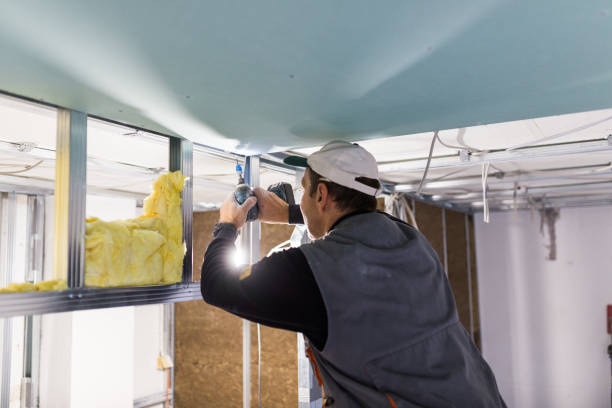 Best Professional Insulation Contractor  in Camp Swift, TX