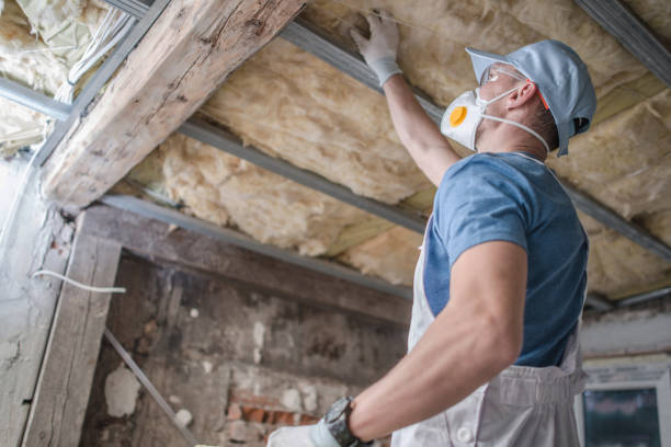 Best Insulation Repair Services  in Camp Swift, TX