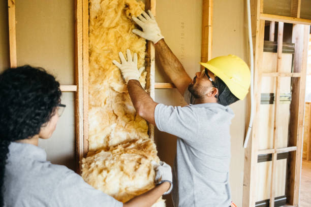 Insulation Replacement Services in Camp Swift, TX